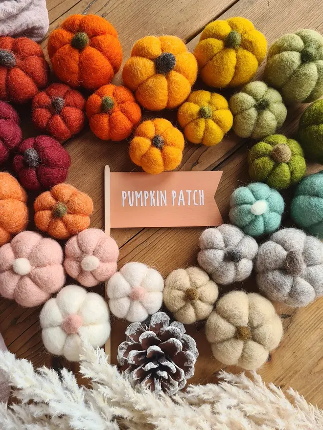 Felt Pumpkin Patch Decoration