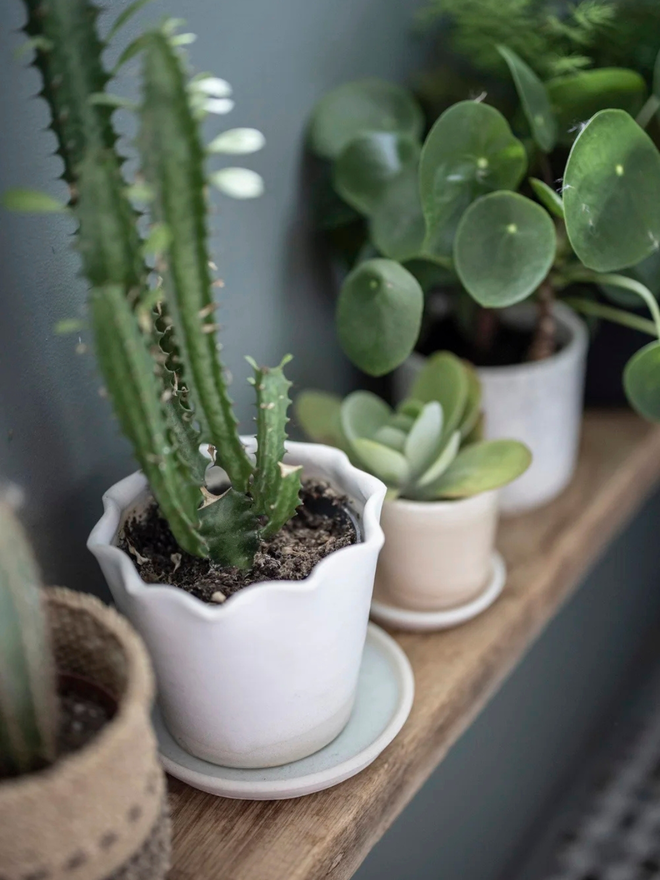 fluted porcelain flower pot