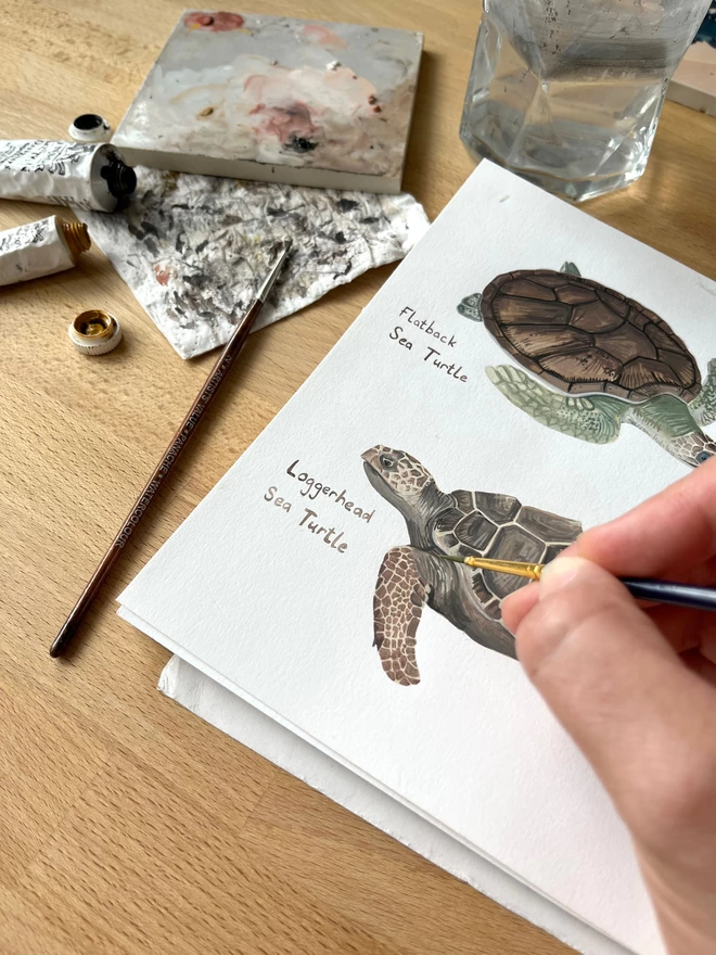 Work in progress painting of some sea turtles