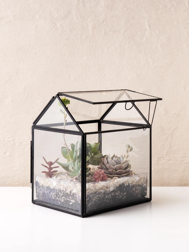 Mini Greenhouse Terrarium Kit