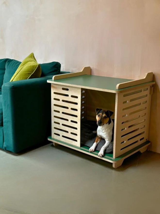 parsons terrier inside sage green wooden dog crate