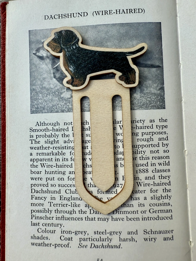 Wire- haired dachshund wooden dog breed bookmark 