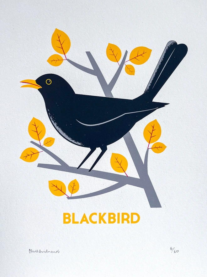 A screenprint of a Blackbird on white paper against a navy blue background.