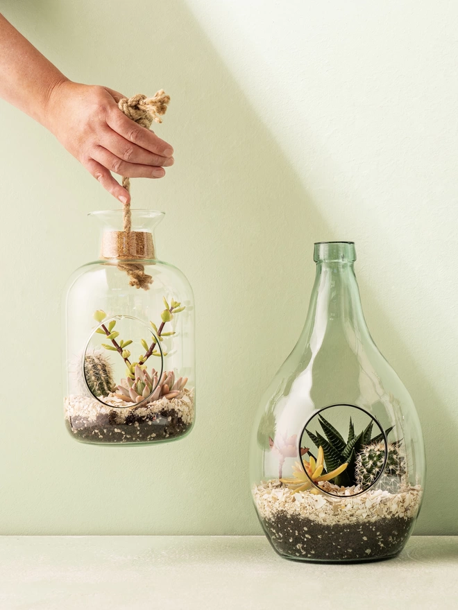 Glass Bottle Terrarium Kit