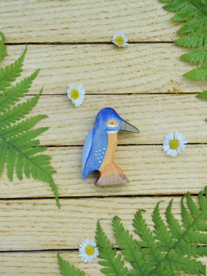 kingfisher laying on boards with daisies and ferns around