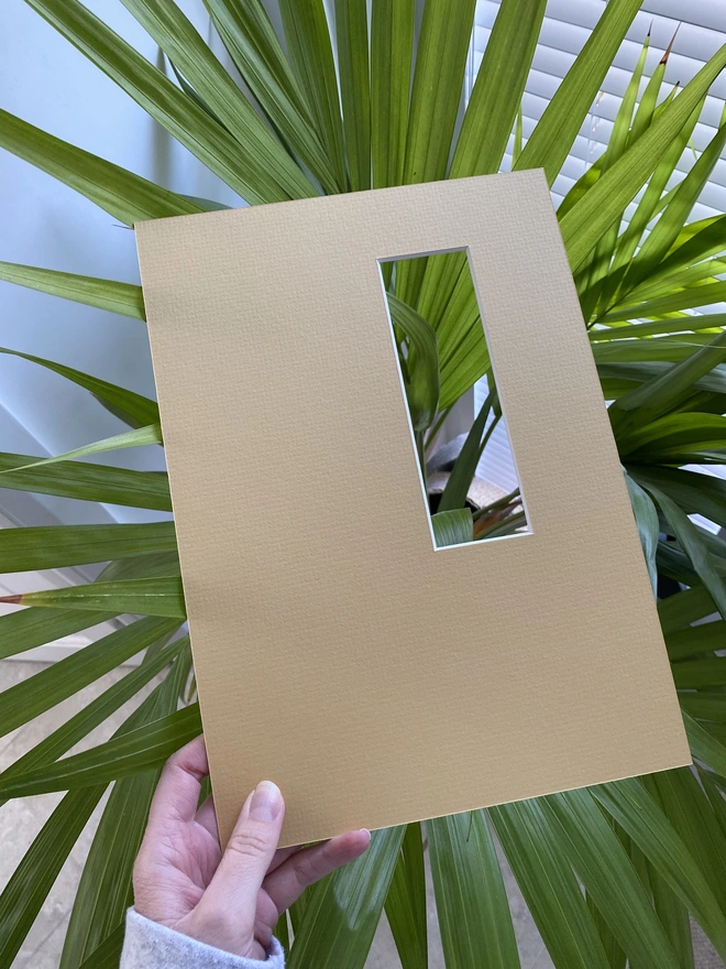 LNN's butter yellow photo strip / photo booth mount