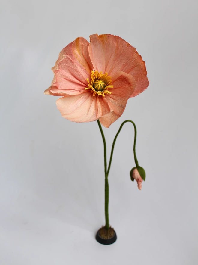 Leo Flowers Icelandic Poppy