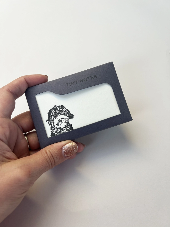 boxed tiny note cards illustrated with a cockapoo puppy