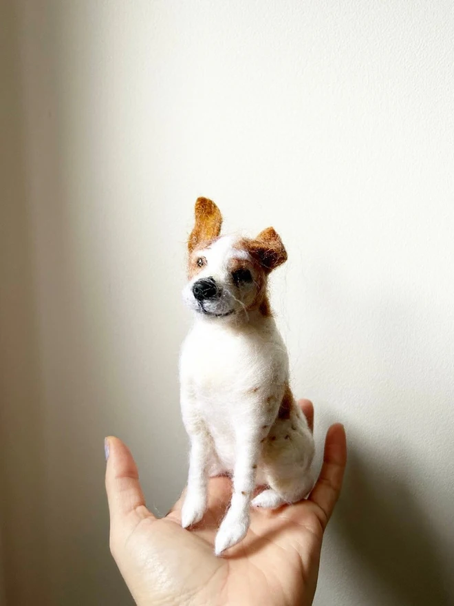 merino wool jack russell pet portrait