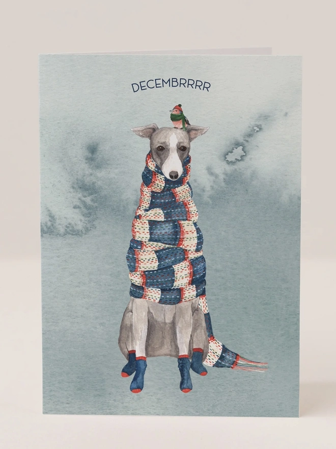 cold whippet in scarf christmas card