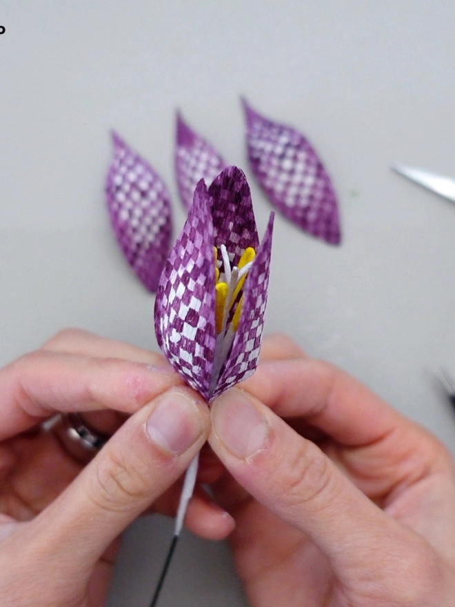 Crepe Paper Snake's-Head Fritillary DIY Kit
