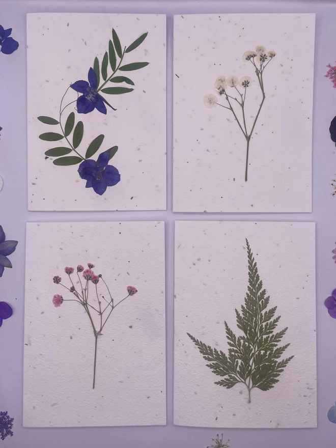 Real Pressed Flower Plantable Card, Set of 4