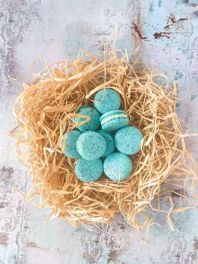 turquoise blue speckled easter egg macarons in a nest