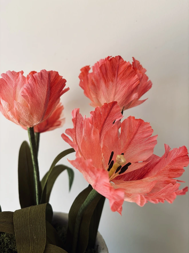 single pink paper tulip in vase, 