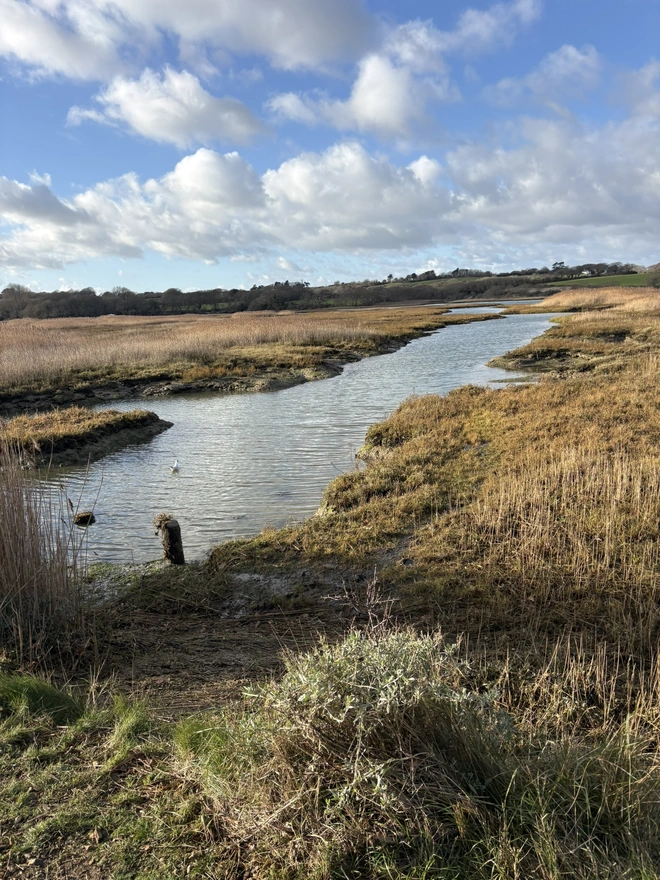 River Yar