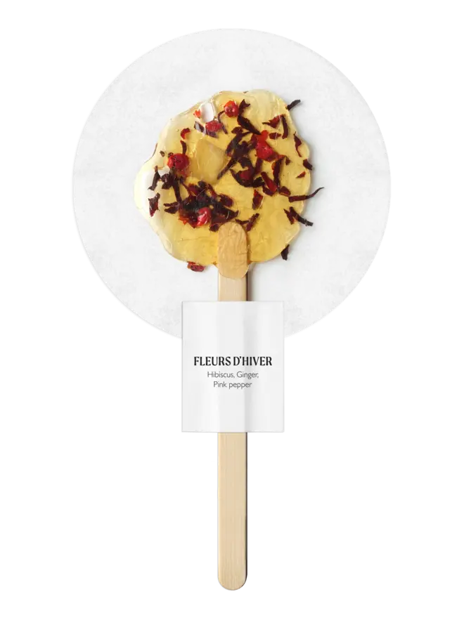 Fleurs-d-hiver-Hibiscus-Ginger-Pink-Pepper