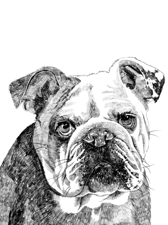 Detail of bulldog art print