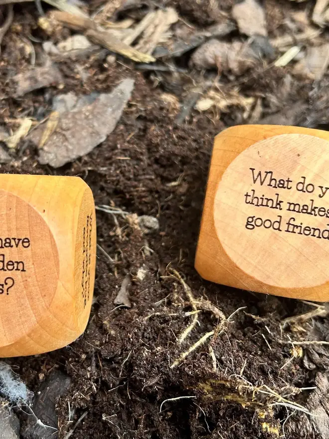 Dice showing 2 questions on a forest floor