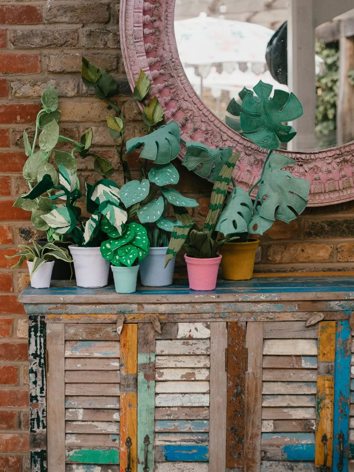 Little Egg Spotted Green Sage Begonia plant seen with other felt plants.