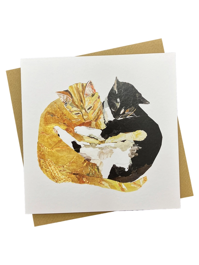 Cuddling Cats Greetings Card