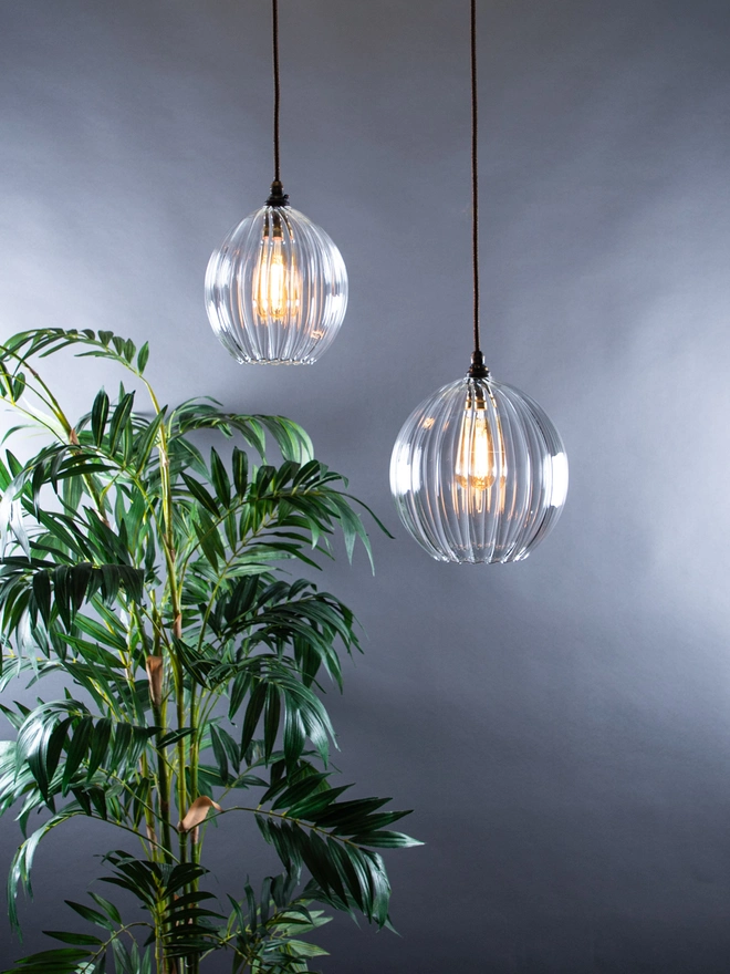 Wanda Clear Ribbed Family of Pendant Lights, shown with a plant in the background for perspective. 