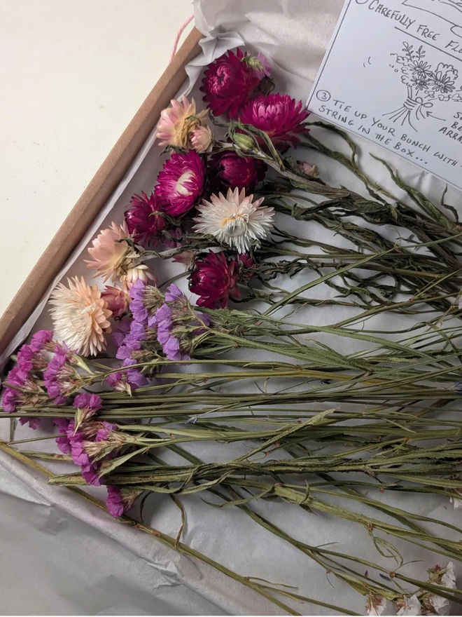 dried flower kit. pink, white and purple dried flower kit laid out in cardboard packing box.