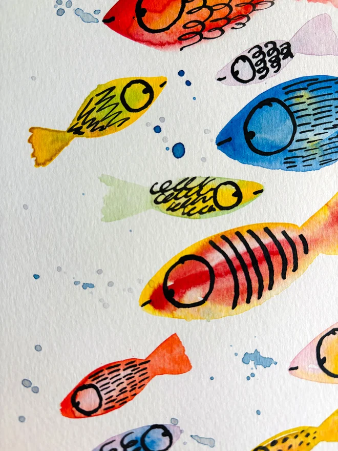 'Fish Out Of Watercolour' fish artwork painted in watercolour