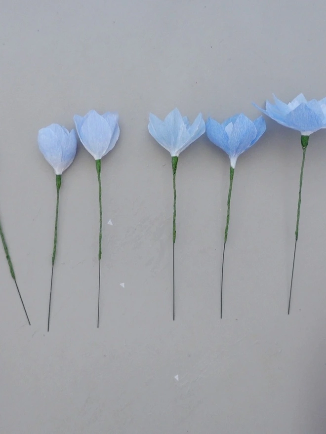 Crepe Paper Delphinium