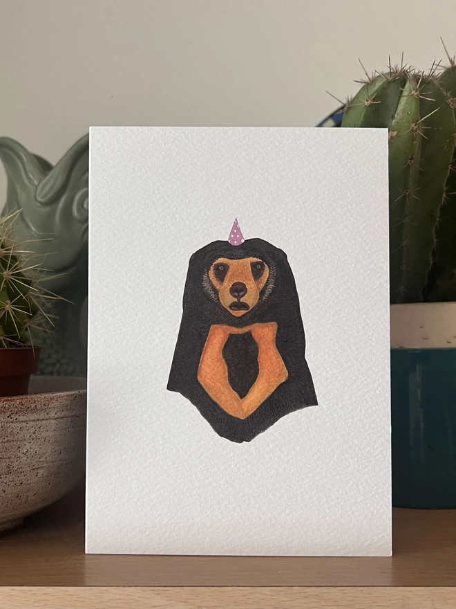 Party Sun Bear Card