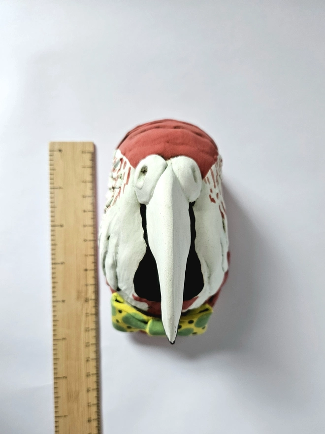 Reggie Scarlett Macaw Parrot Ceramic Trophy Style Head