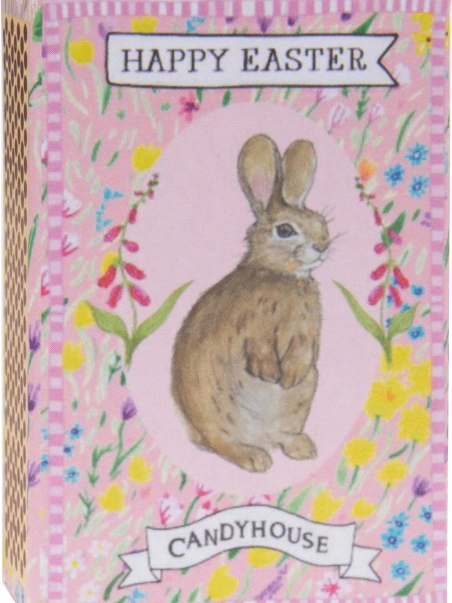 A bunny rabbit on the front of a Pink Easter box 