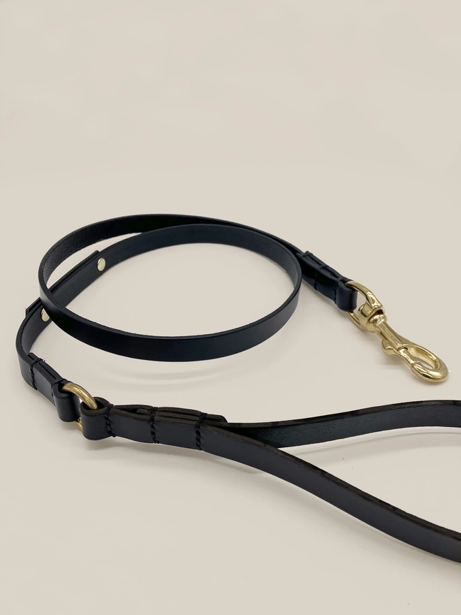 crop of black leather dog lead