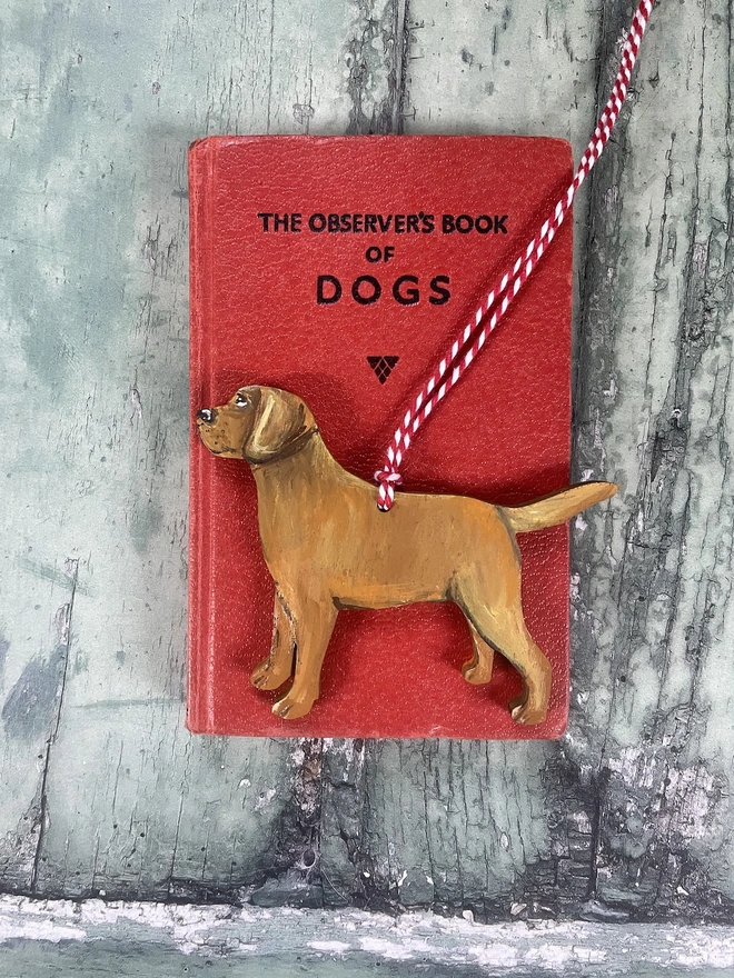 Black Labrador Portrait Decoration Placed onto a book about dogs 