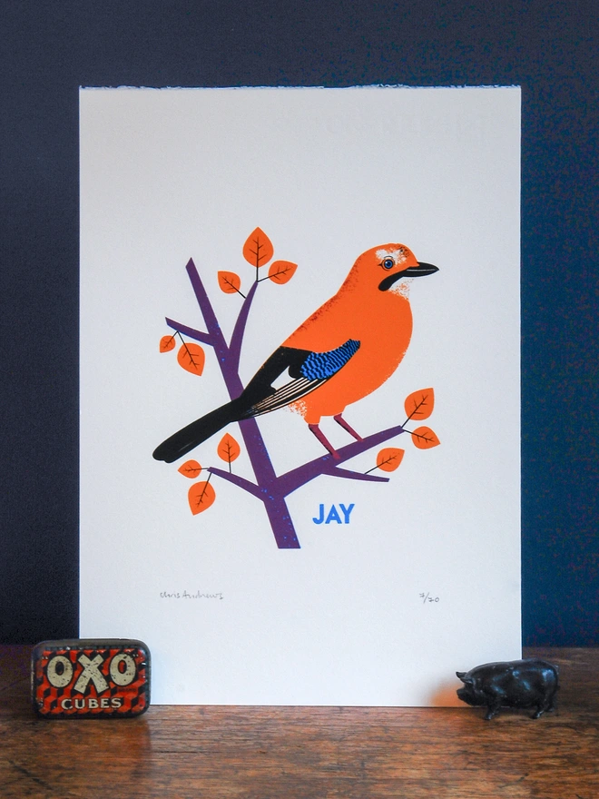 A screenprint of a Jay bird on white paper against a navy blue background.