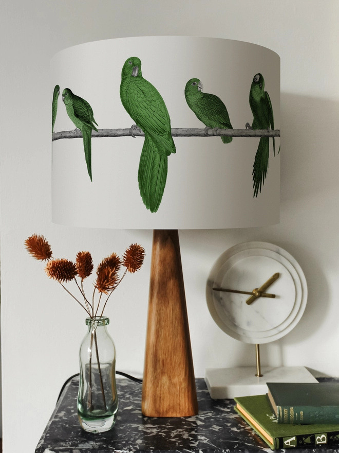 Drum Lampshade featuring Green Parrots on a wooden base on a shelf with books and ornaments