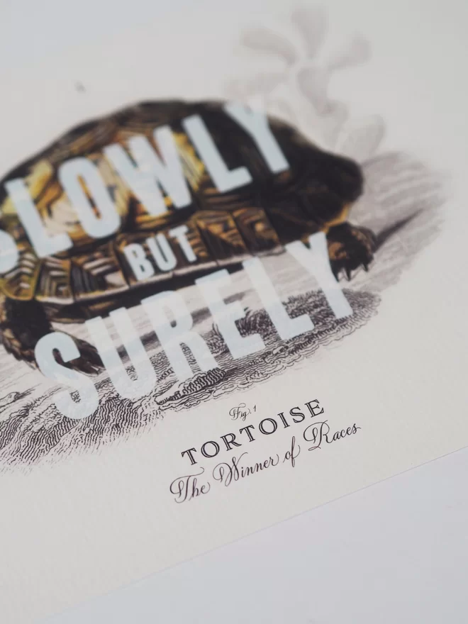 Close up of white ink screen printed over a vintage illustration of a tortoise