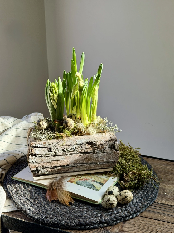 The planted cedar wood trough resting on a wooden table.
