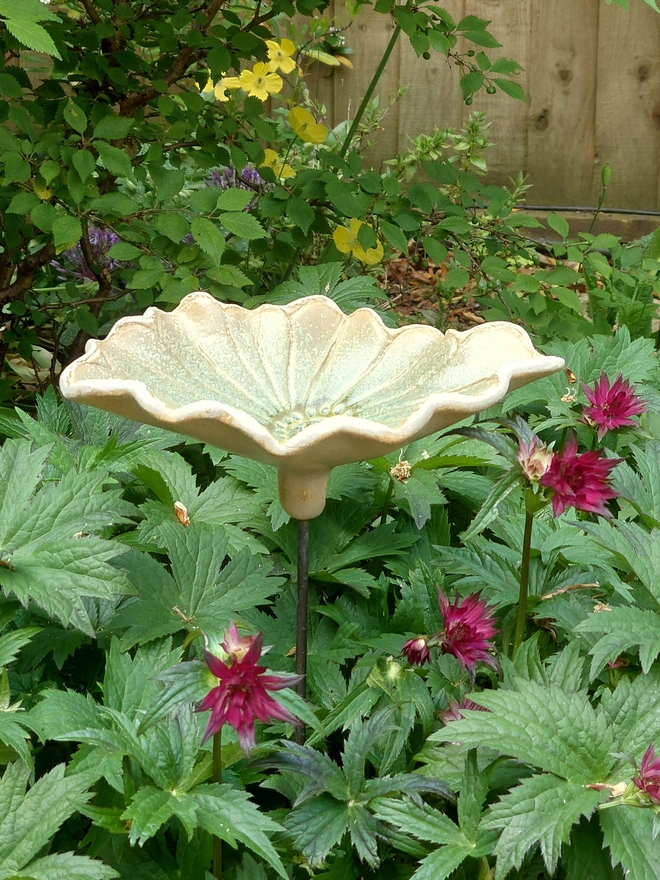 Daisy flower bird bath on brass rod