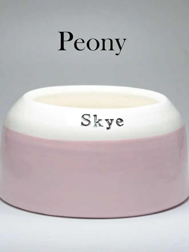 Cocker spaniel Ear Free Bowl in Peony