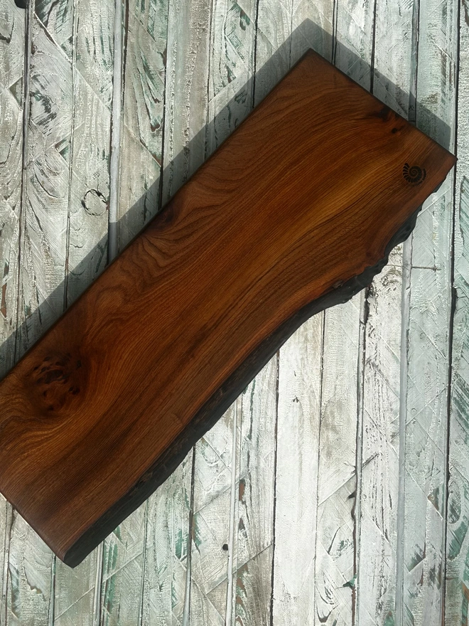 Elm long board