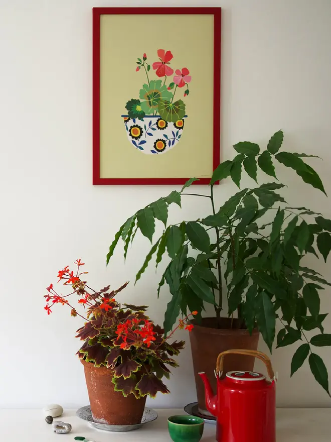pelargonium  flower print