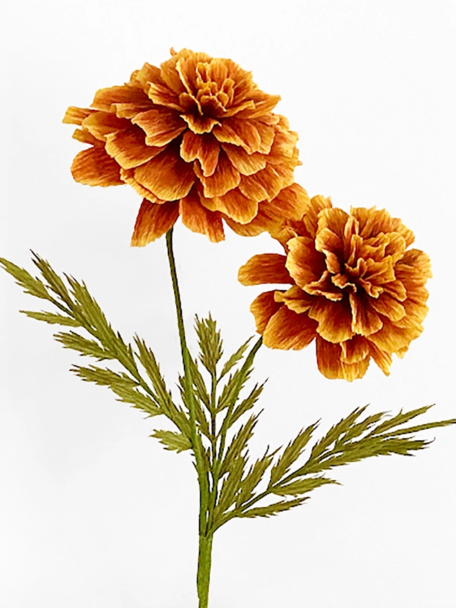 Crepe Paper French Marigold Flower DIY Kit