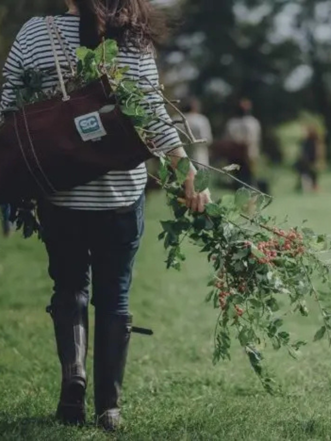 large forage foliage plant log bag