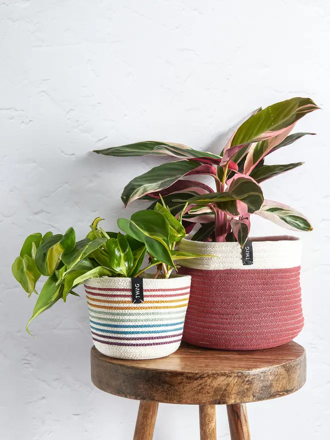Rainbow Striped Cotton Pot
