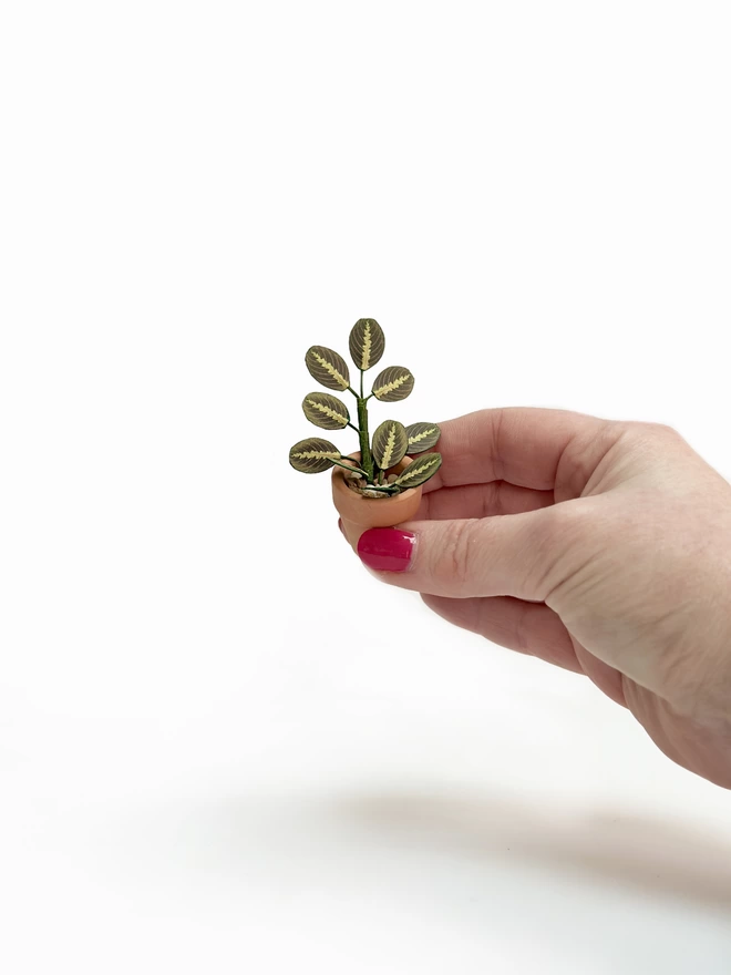 A miniature replica Maranta Prayer Plant paper plant ornament in a terracotta pot held between 5 fingers against a white background