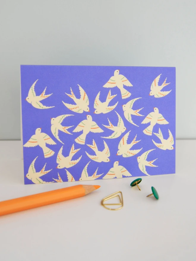 Birds Illustrated Notecard Pack