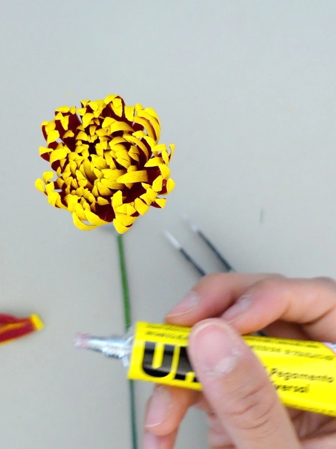 Crepe Paper Chrysanthemum 'Crimson Tide"