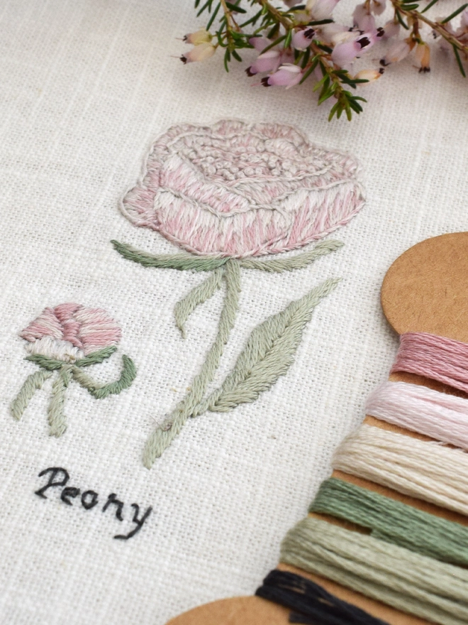 Floral Botanical embroidery kit of a blush pink Peony or Paeonia Lactiflora a symbol for November and 12th wedding anniversary.  Meaning Riches and honour, Bashfulness, Wealth, Romance and Compassion.