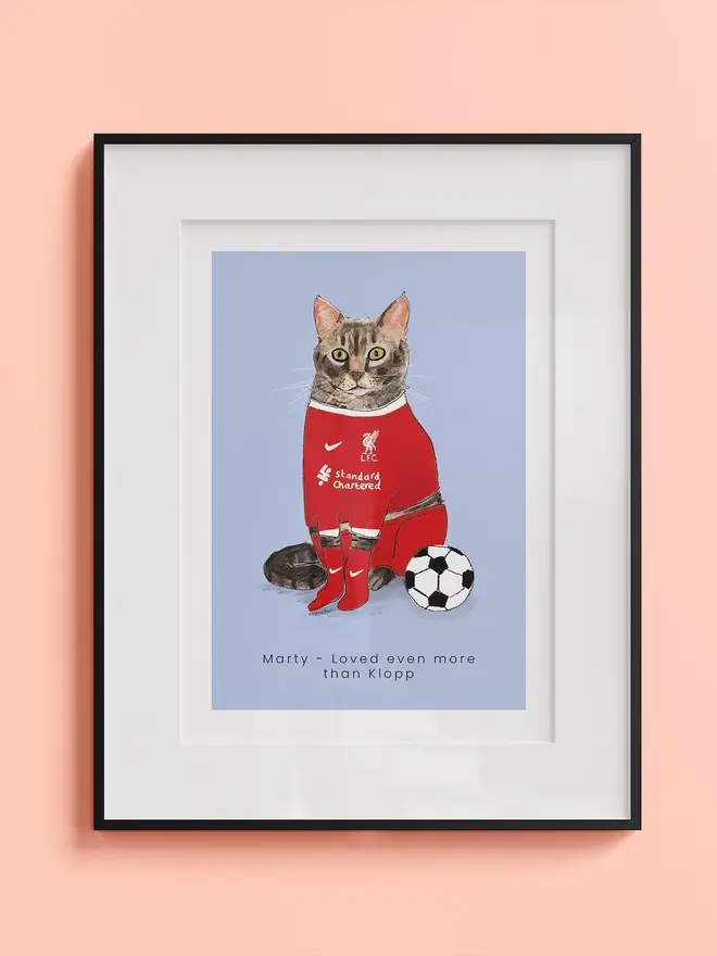 personalised pet football shirt portrait