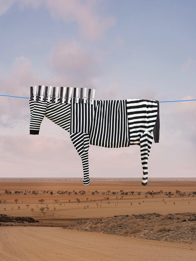 Zelda the Zebra hung on a clothes line in Africa - original print